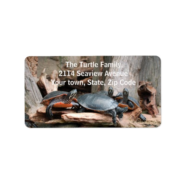 Turtles Photo Address Labels (Front)