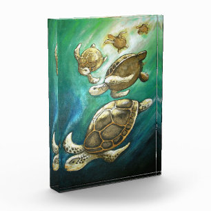 Turtles Sunlight Swim Photo Block