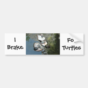 Turtles/Tortoises Bumper Sticker