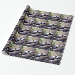 Turtles Wrapping Paper