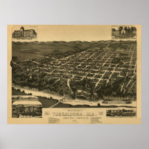 Tuscaloosa, AL Panoramic Map Vintage 1887 Poster