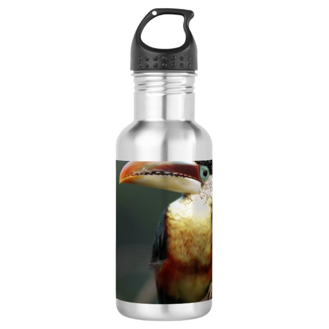 Tuscan  At The Zoo 710 Ml Water Bottle (Front)