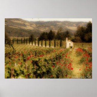 Tuscan Dream Print