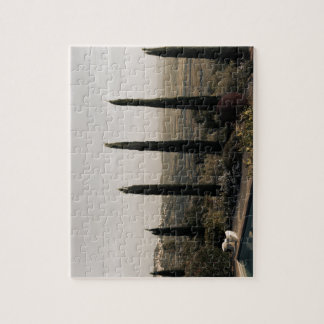 Tuscan landscape hidden behind cypresses (2024) jigsaw puzzle