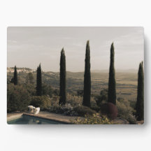 Tuscan landscape hidden behind cypresses (2024)