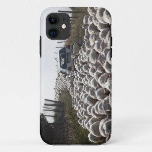 tuscany farmland road, car blocked by herd of iPhone 11 case