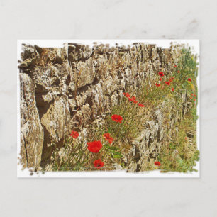 Tuscany, Italy. Illustration. Postcard