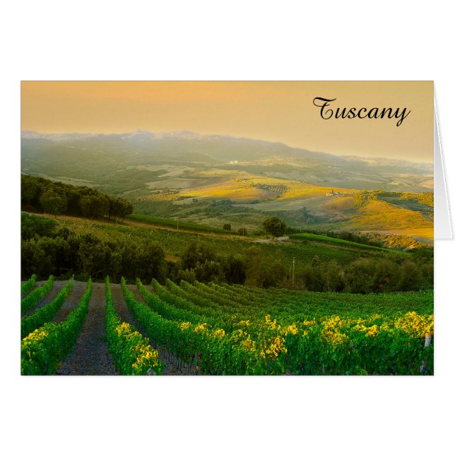 Tuscany Italy Italian Vineyard Photo (Front Horizontal)