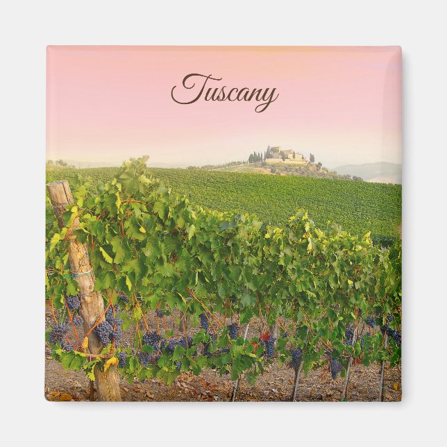 Tuscany Italy Italian Vineyard Photo Magnet (Front)