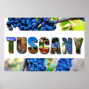 Tuscany Italy Italian Vineyard Travel Photos Poster