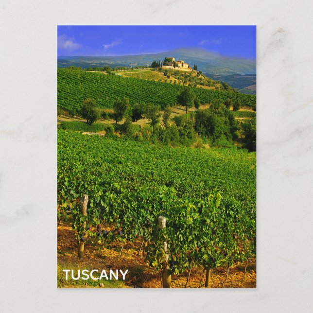 Tuscany Italy Italian Vineyard Villa Travel Postcard (Front)
