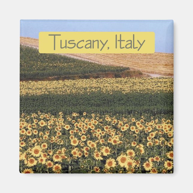 Tuscany Italy Travel Souvenir Photo Fridge Magnet (Front)