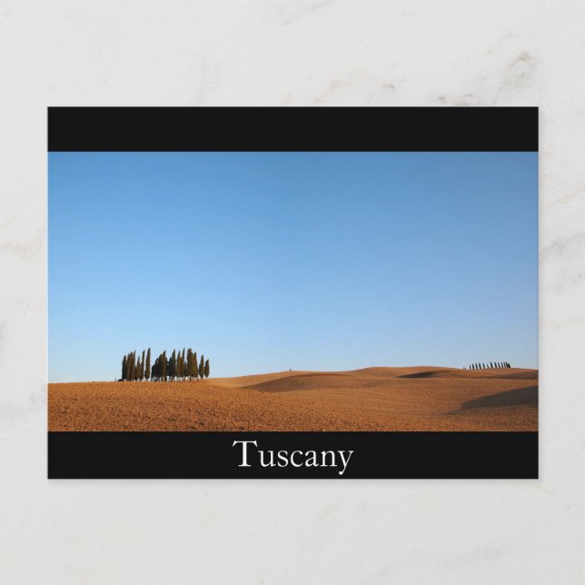Tuscany landscape and cypress trees black postcard (Front)