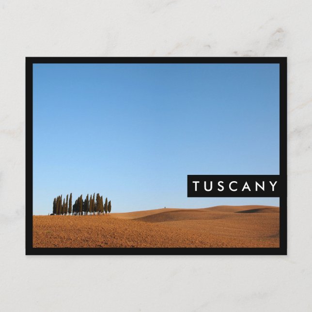 Tuscany landscape with cypresses stylish postcard (Front)