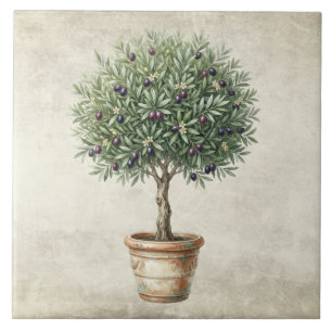 Tuscany Olive Topiary Mediterranean Ceramic Tile