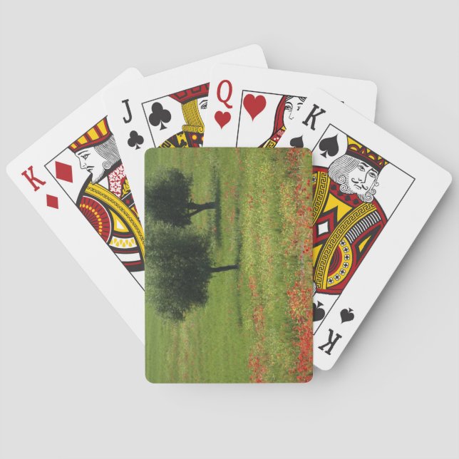 Tuscany Playing Cards (Back)