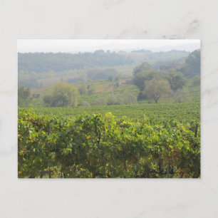Tuscany Postcard