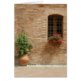 Tuscany pot plants