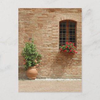 Tuscany pot plants postcard