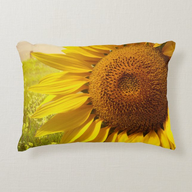 Tuscany Sunflowers Decorative Cushion (Front)