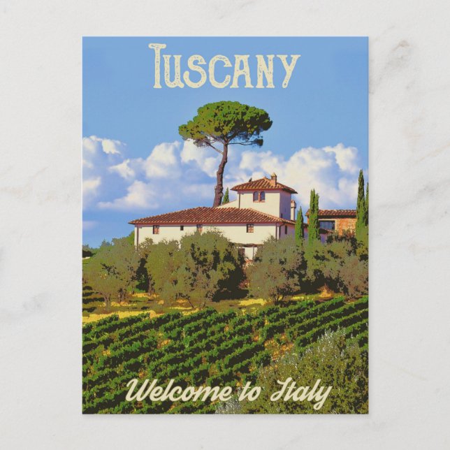 Tuscany Vineyard Postcard (Front)