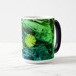 Tussilago farfara Coltsfoot Flowers   Magic Mug