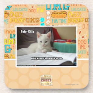 Tutor Kitty Coaster