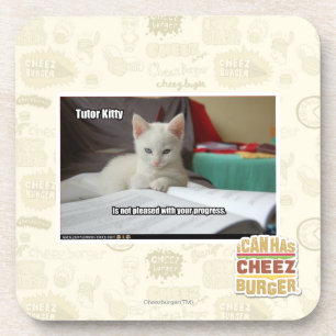 Tutor Kitty Coaster