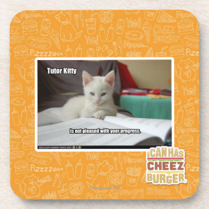 Tutor Kitty Coaster