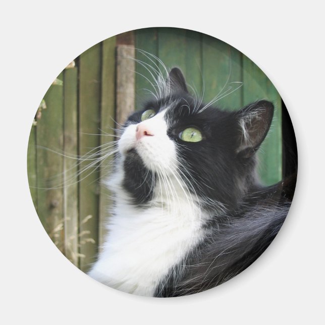 Tux - 2¼ Inch Round Magnet (Front)