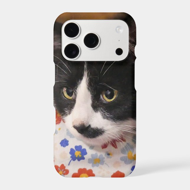 Tuxedo Cat (Back)