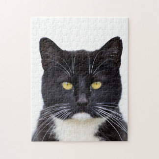 Tuxedo Cat 11x14 Photo Puzzle with Gift Box