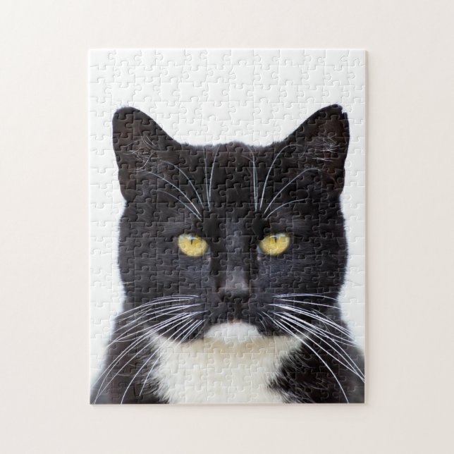 Tuxedo Cat 11x14 Photo Puzzle with Gift Box (Vertical)