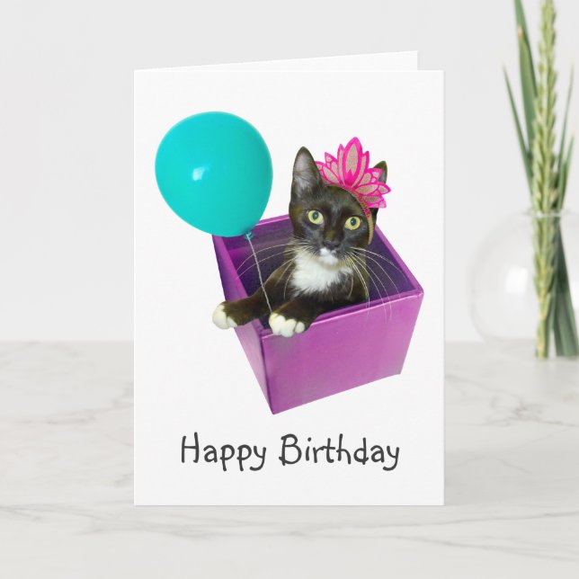 Tuxedo Cat Birthday Card (Front)