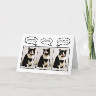 Tuxedo Cat Birthday Humour Card
