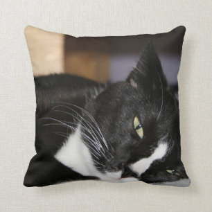 tuxedo cat black and white lying down one eye open cushion