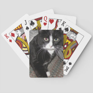 Tuxedo Cat Black and White Playing Cards