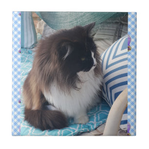 Tuxedo cat Black White Furry Cats Ceramic Tile