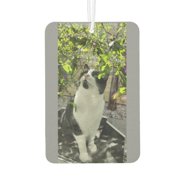 Tuxedo Cat Car Air Freshener (Back)