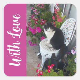Tuxedo Cat Cats and Flowers Girls Name Dark Pink Square Sticker