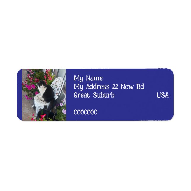 Tuxedo cat Cats Art Return Address Labels Navy (Front)