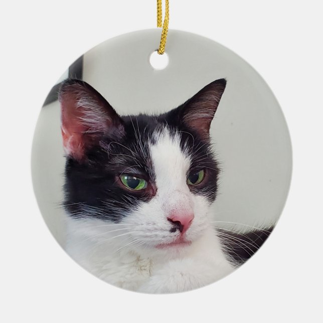 Tuxedo Cat Ceramic Ornament (Front)