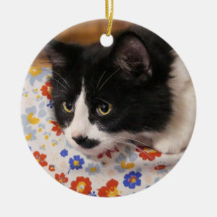 Tuxedo Cat  Ceramic Ornament