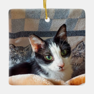 Tuxedo cat ceramic ornament