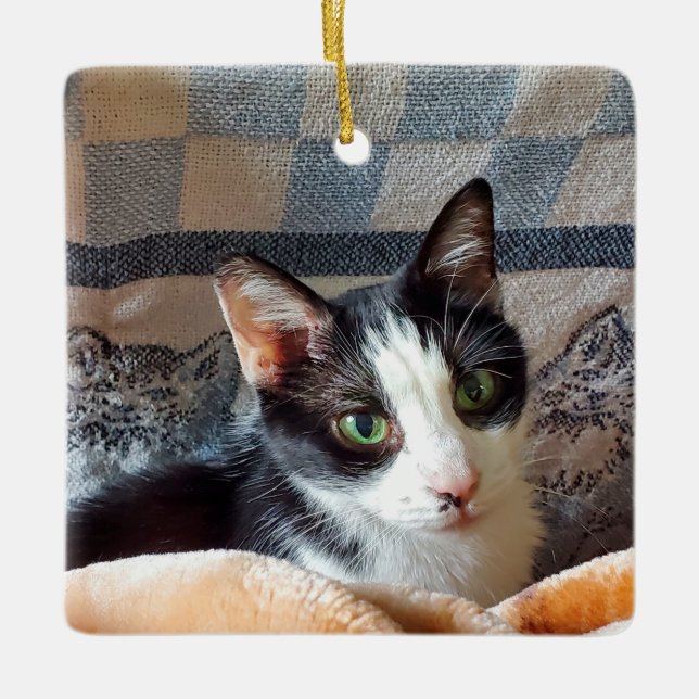 Tuxedo cat ceramic ornament (Front)