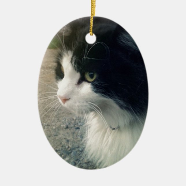 Tuxedo Cat Ceramic Tree Decoration (Front)