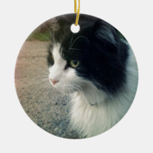 Tuxedo Cat Ceramic Tree Decoration