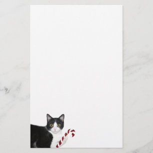 Tuxedo cat Christmas Stationery