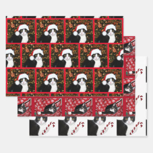 Tuxedo cat Christmas Wrapping Paper Sheet