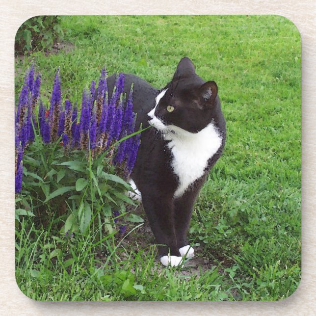 Tuxedo cat coaster (Front)